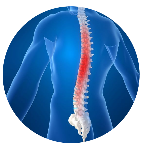 Learn about treatment options for scoliosis in Oswego, IL. 
